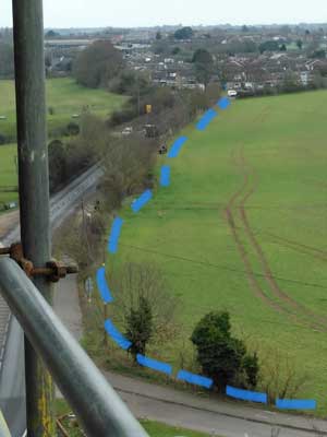Illustrating Nature Network plants trees and hedges on Info Staging