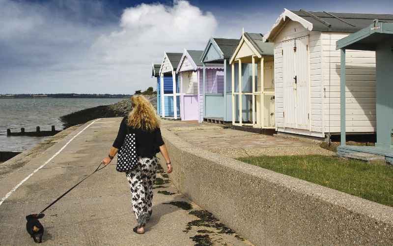 Illustrating Beach hut rental: "An exciting new business opportunity" says councillor on Brightlingsea Info