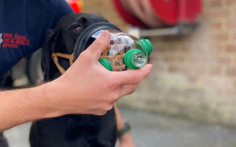 Illustrating Pet-friendly oxygen masks now carried by fire engines on Brightlingsea Info