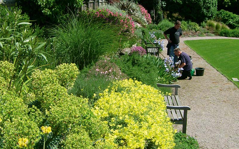 a floral garden